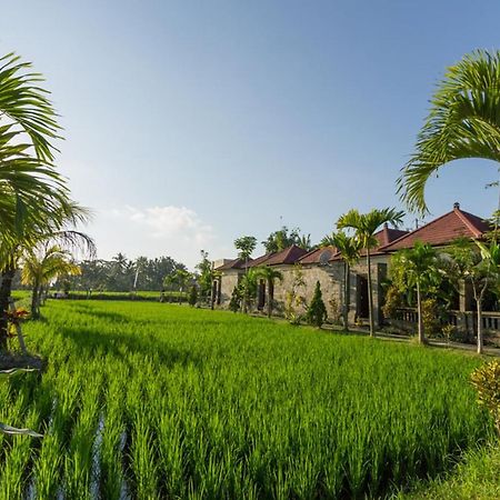 De Sawah Satoe Villa And Resort Ubud (Bali) Ngoại thất bức ảnh