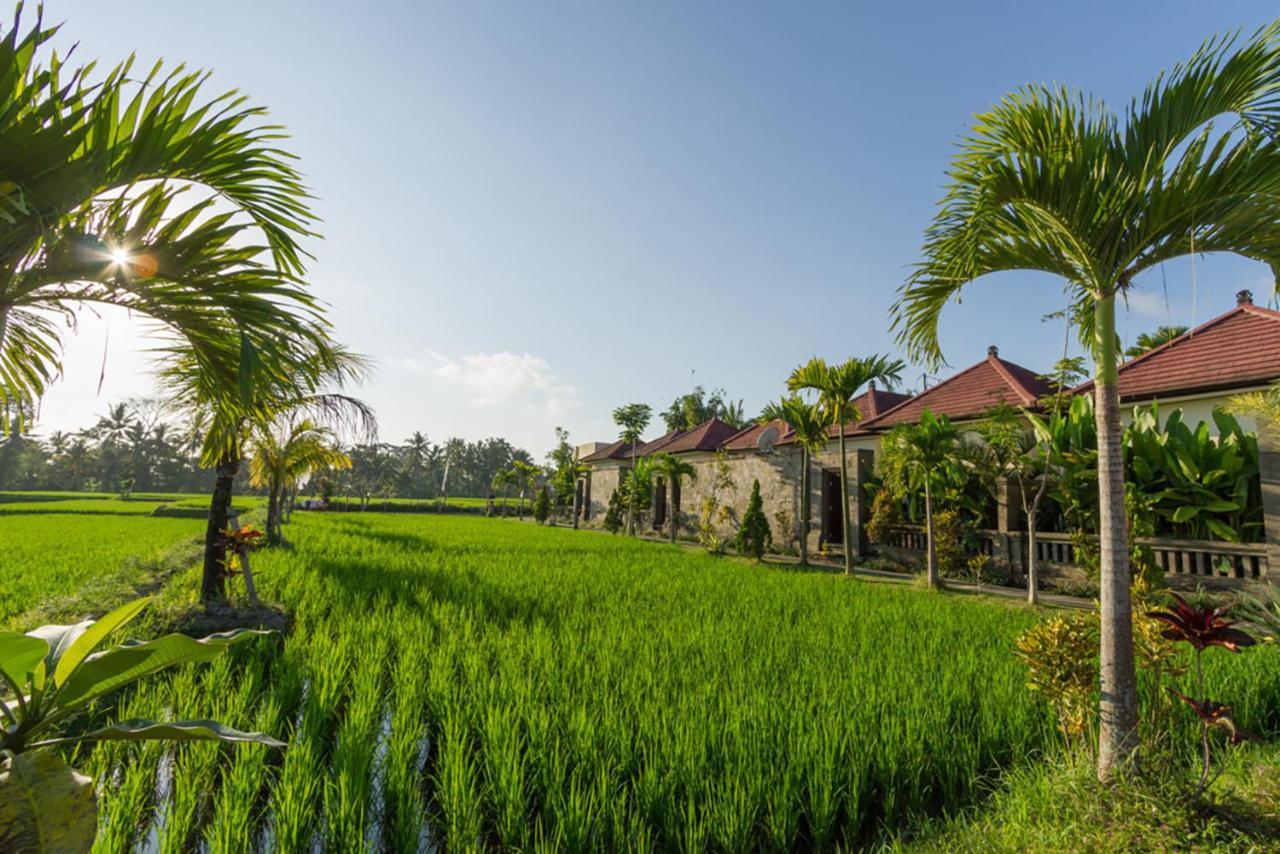 De Sawah Satoe Villa And Resort Ubud (Bali) Ngoại thất bức ảnh