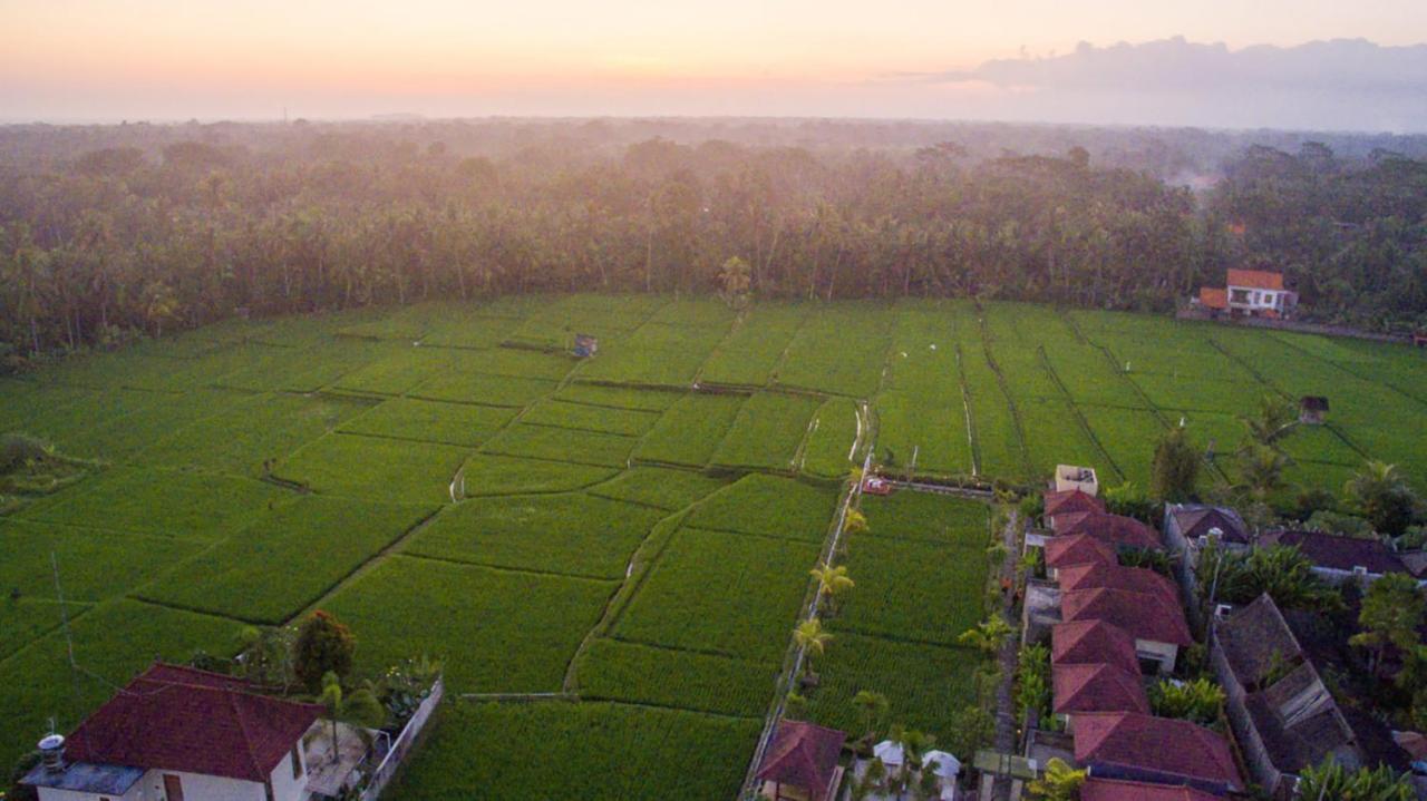De Sawah Satoe Villa And Resort Ubud (Bali) Ngoại thất bức ảnh
