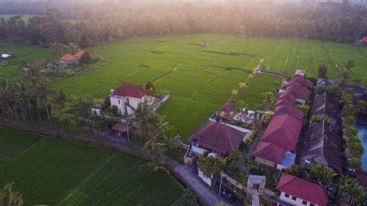 De Sawah Satoe Villa And Resort Ubud (Bali) Ngoại thất bức ảnh