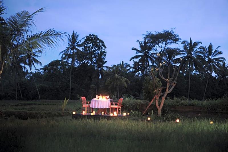 De Sawah Satoe Villa And Resort Ubud (Bali) Ngoại thất bức ảnh